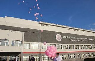 Meme kanserine dikkat çekmek için pembe balon uçurdular