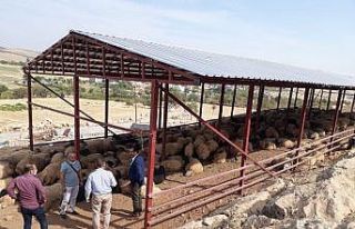 Meralarda yapılan yatırımlar incelendi