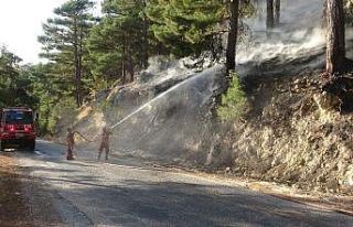 Mersin’de 1,5 hektar kızılçam ormanı zarar gördü