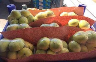 Mersin’de incir sezonu 7 lirayla kapattı