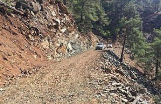 Mersin’de orman yolları ve sanat yapıları tamamlanıyor