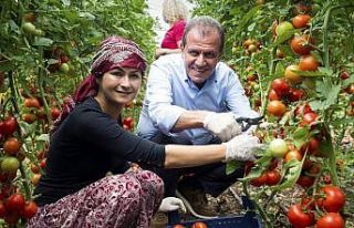 Mersin’de tarım kalkınıyor, üretici kazanıyor