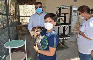 Mersin’deki hayvan barınağında 31 hayvan sahiplendirildi