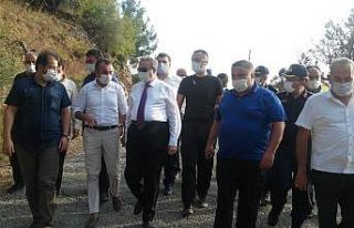 Mersin’deki yangında ev ve seralar da zarar gördü