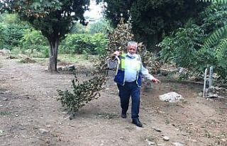 Mezarlıklarda bakım sürüyor