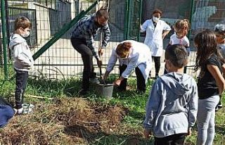 Minik elleriyle fidanları toprakla buluşturdular