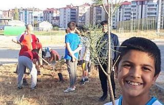 Minik güreşçiler çam fidanı dikti