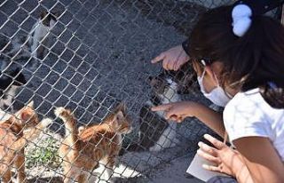 Minikler barınakta hayvanlarla bir gün geçirdi