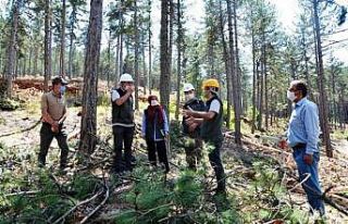 Müdür Keskin: “Tüm ormancılık faaliyetlerinde...