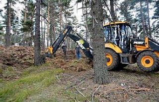 Müdür Keskin: “Yaşlı ormanları gençleştirmek...