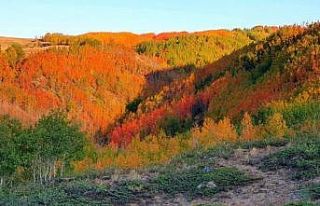 Nemrut Krater Gölünde sonbahar güzelliği