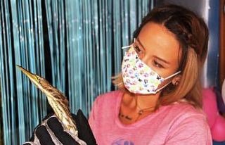 Nesli tükenmekte olan yaralı Küçük Balaban kuşu...