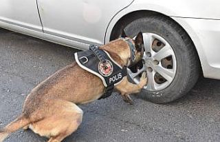 Nevşehir’de uyuşturucu taciri 1 kişi tutuklandı