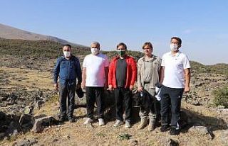 Nora Mokisos Antik Kentinde kazı hazırlıkları...