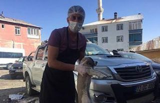 O hayvanlar, Başkan Arıkan’ın talimatıyla koruma...