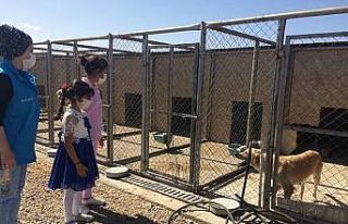 Öğrenciler hayvan barınağını ziyaret etti