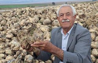 Öğretmendi, öğretti