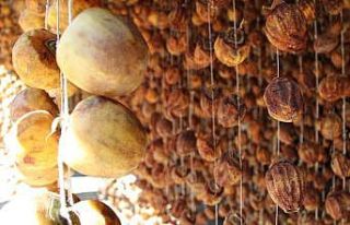 Olgunlaşmamış hurma 3 haftada şifa dolusu lezzete...