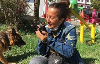 Ölü doğan köpek yavrularını suni teneffüsle...