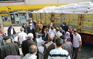 Ordu’da buğday üretimi başlıyor