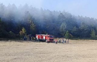 Ordu’da orman yangını