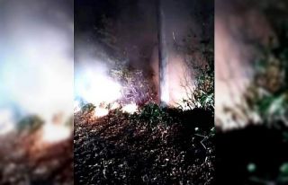 Ordu’da ormanlık alanda yangın