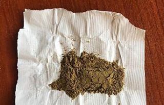 Ordu’da uyuşturucu denetimleri