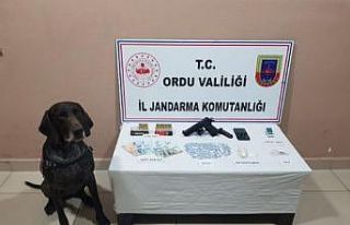 Ordu’da uyuşturucuya geçit yok