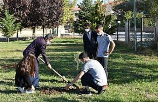 Orman yangınlarına dikkat çekmek için fidan diktiler