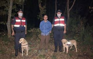 Ormanda kaybolan zihinsel engelli vatandaş ağaca...