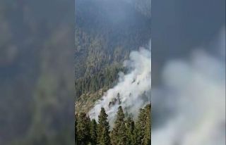 Örümcek Ormanları’nda yangın