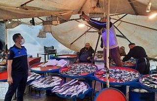 Osmangazi’de balıkçı tezgahlarına mavi ışık...