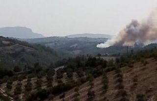 Osmaniye’de orman yangını çıktı, alevler evlerede...