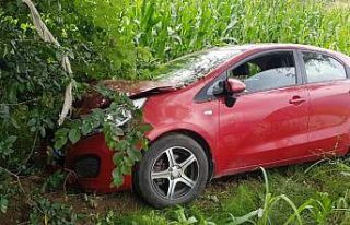 Ot biçerken otomobilin çarptığı kişi, 3 aylık...