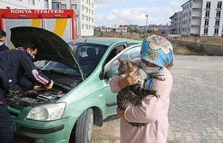 Otomobilden kedi kurtarma operasyonu