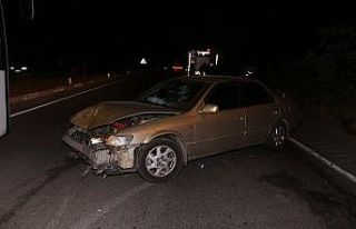 Otomobiller karayolundaki koyun sürüsüne daldı;...