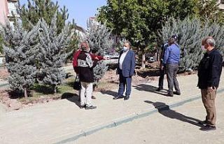 “Oy vermedim ama yapılanları takdir etmek lazım”