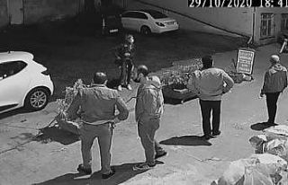 (Özel) Amerikalı kadının köpeği kediyi öldürdü,...