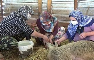 (Özel) Aniden fenalaşıp yere düşüyorlar