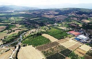 (Özel) ’Bayramiçi Beyazı’ fidanı tescillendi