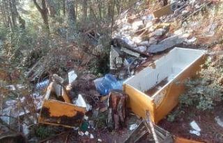 (Özel) Bursa’da bir çevre katliamı daha