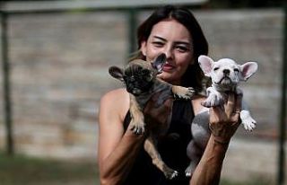 (Özel) Evcil hayvanlar salgında en yakın arkadaş...