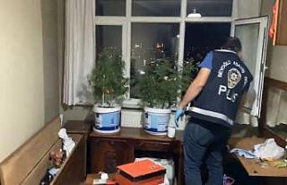 (Özel) İstanbul’un göbeğindeki uyuşturucu serasına...