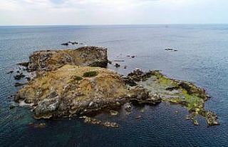 (ÖZEL) İstanbul’un ıssız adası