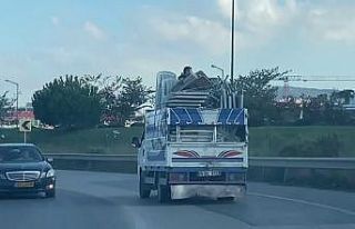 (Özel) Ümraniye’de kamyonet kasasında tehlikeli...