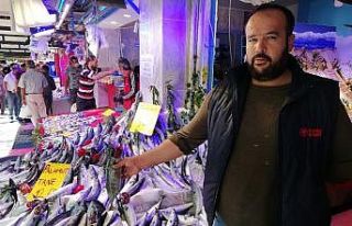 Palamut büyüyor, fiyatı küçülüyor