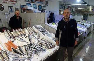 Palamut fiyatıyla cep yakıyor
