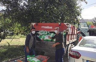 Palu’da 8 ton yem bitkisi dağıtıldı