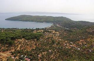 Pandemi Muğla’da arazi fiyatlarını uçurdu