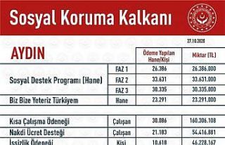 Pandemi sürecinde Aydın’a 386 milyon TL destek